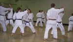 100_0462.jpg
